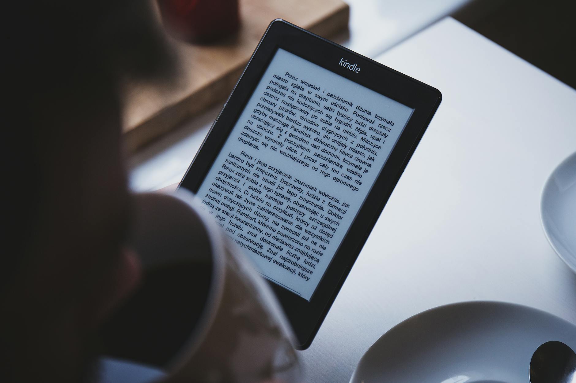 1001 ebook est-il légal ?