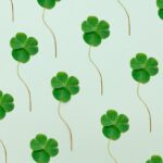 Se rebooster en 2026 : Pourquoi « Capturer la chance » est le livre indispensable pour sortir du flou